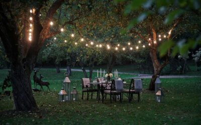 La importancia de iluminar bien tu jardín.